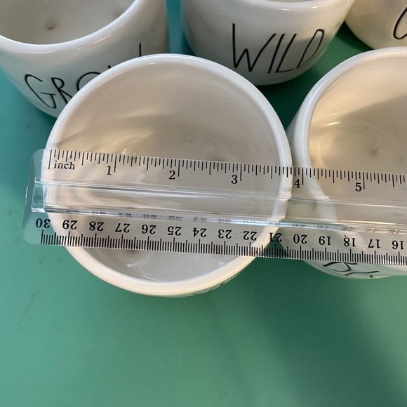 Set of 5 Rae Dunn Mini Planters - Picture 11 of 11